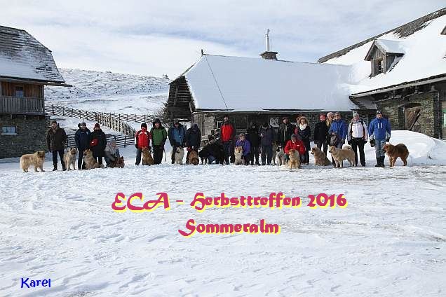12./13.11.2016 - ECA Herbsttreffen